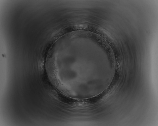 X0000095120745200712141136