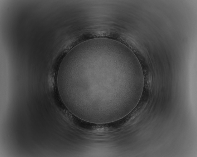 X0000095120746200712141136