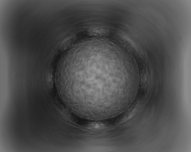 X0000095120749200712141136