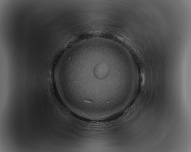 X0000095120750200712141136