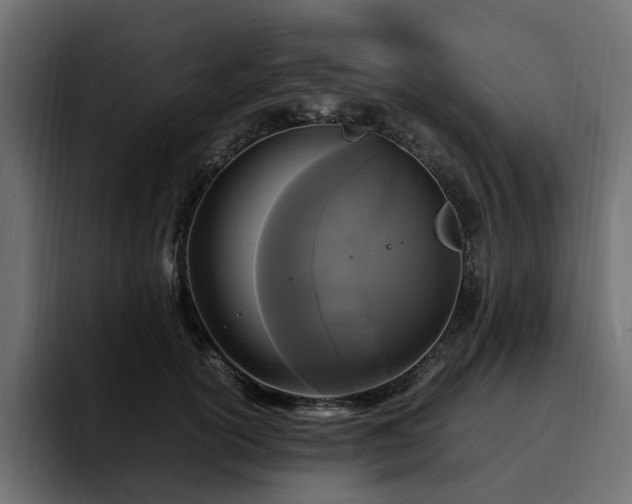 X0000095120754200712141136