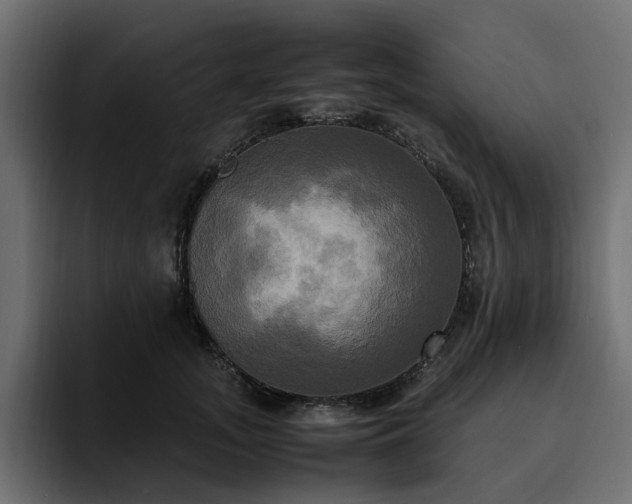 X0000095120755200712141136