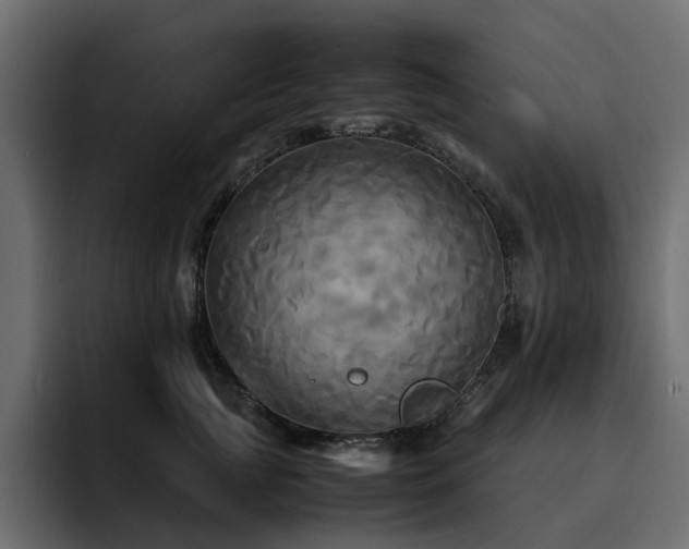 X0000095120761200712141136