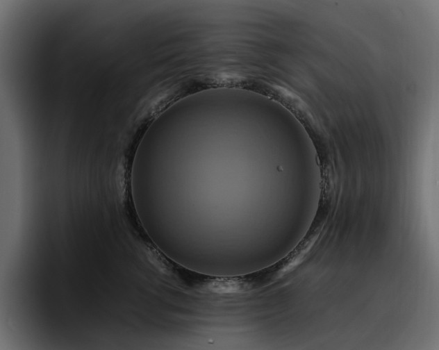 X0000095120762200712141136