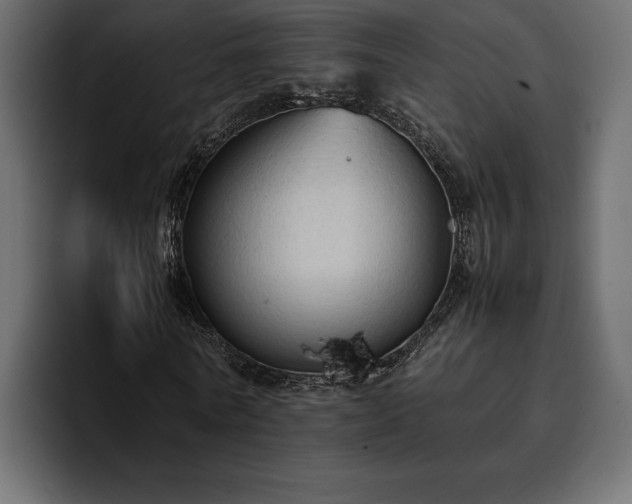 X0000095120770200712141135