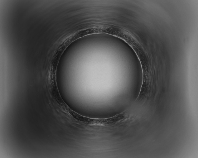 X0000095120773200712141135