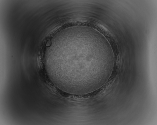 X0000095120774200712141135