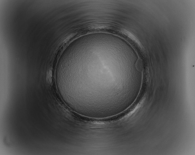 X0000095120777200712141135