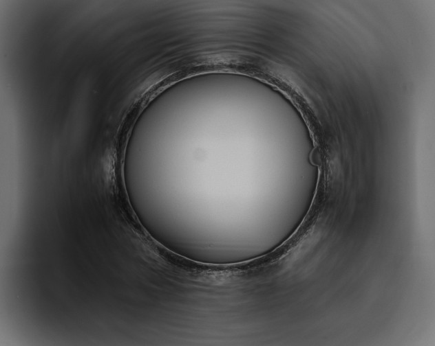 X0000095120778200712141135