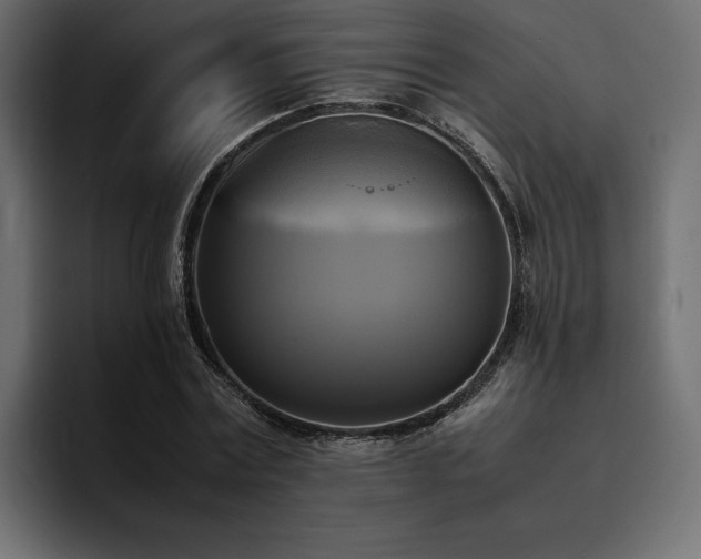 X0000095120779200712141135