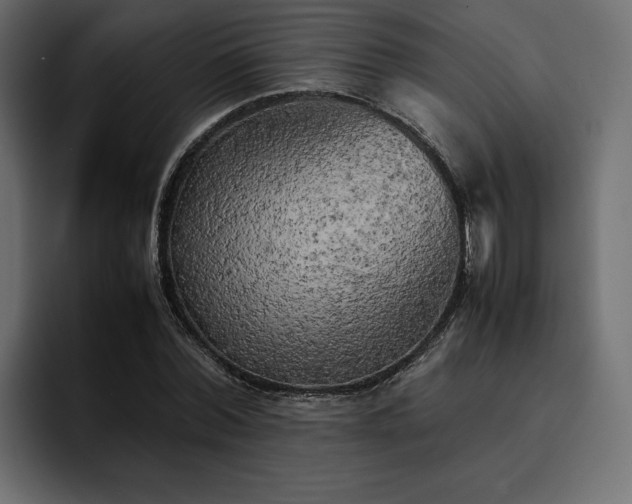 X0000095120780200712141135