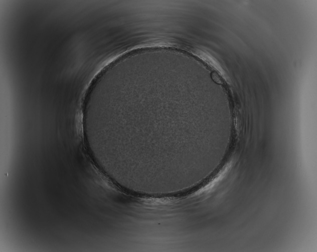 X0000095120781200712141135