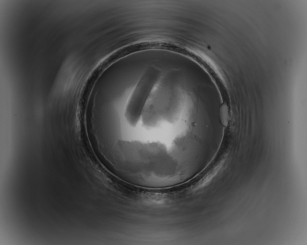 X0000095120783200712141135