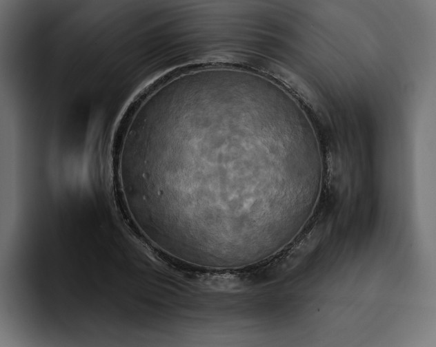 X0000095120784200712141135