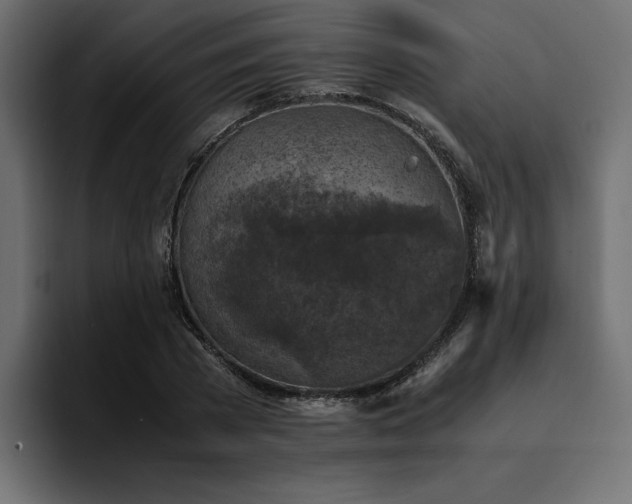 X0000095120785200712141135