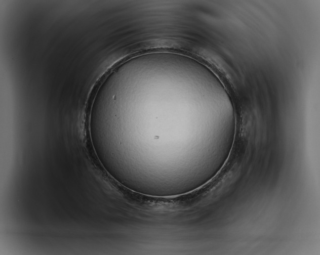 X0000095120786200712141135