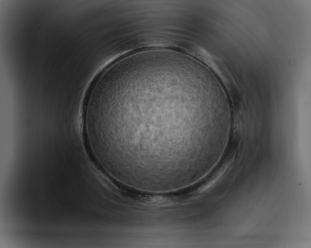 X0000095120787200712141135