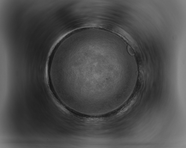 X0000095120788200712141135