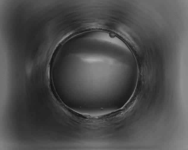 X0000095120790200712141135