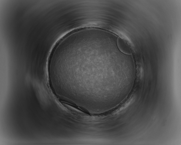 X0000095120792200712141135