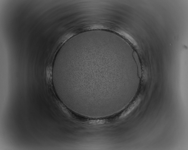 X0000095120793200712141135