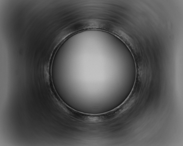 X0000095120794200712141135