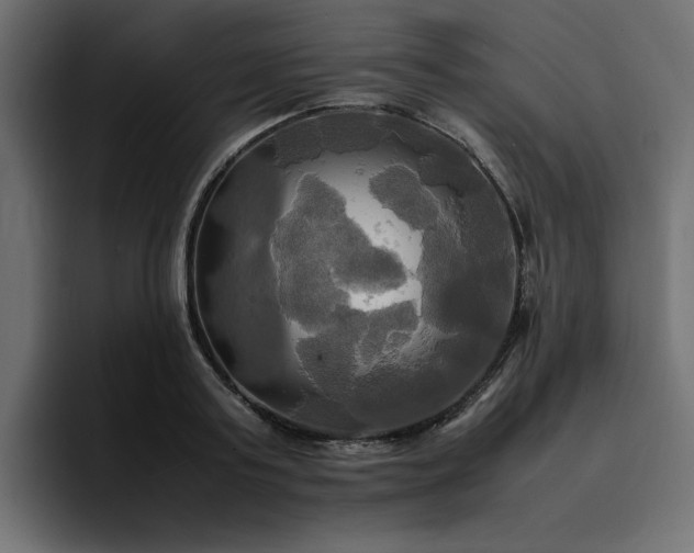 X0000095120795200712141135