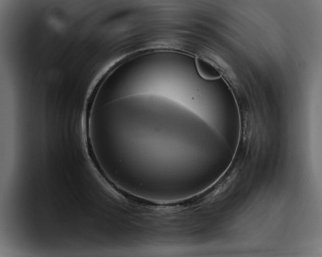 X0000095120796200712141135