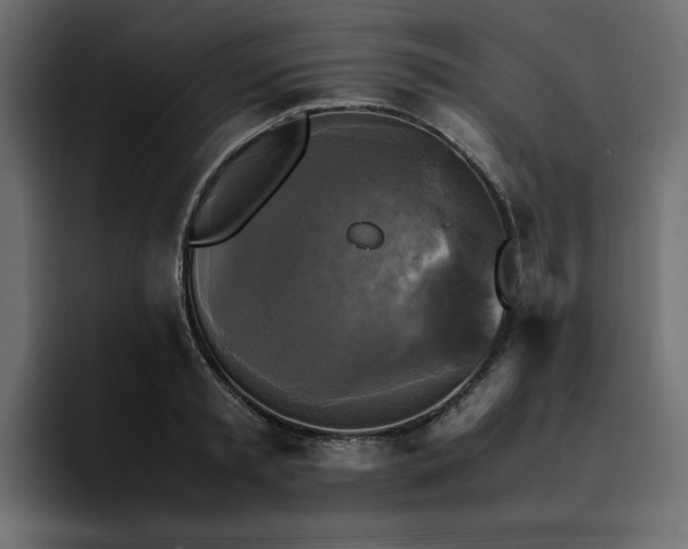 X0000095120797200712141135