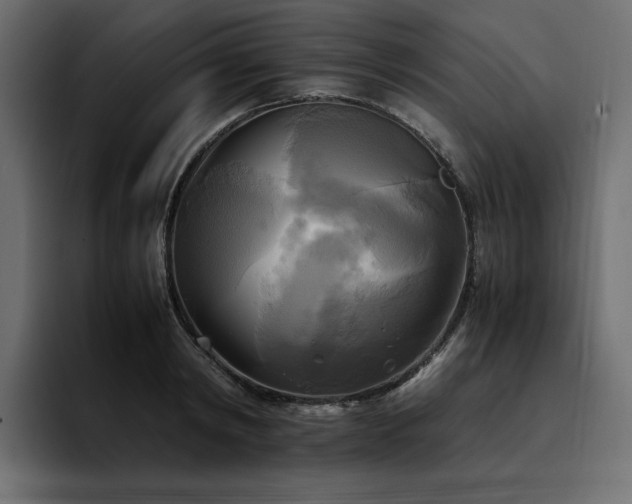 X0000095120798200712141135