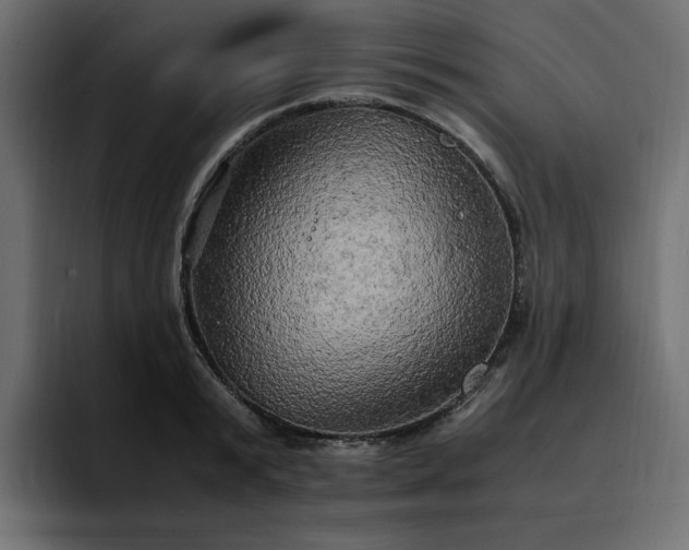 X0000095120799200712141135