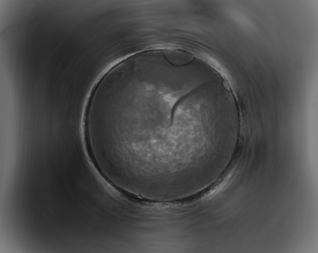 X0000095120803200712141135