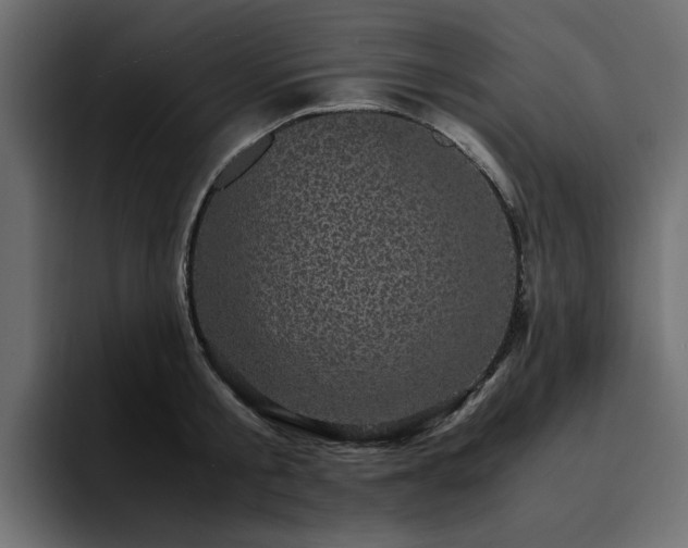 X0000095120805200712141135