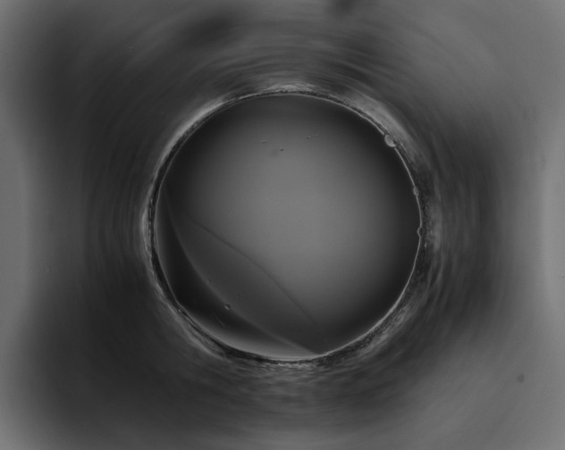 X0000095120806200712141135