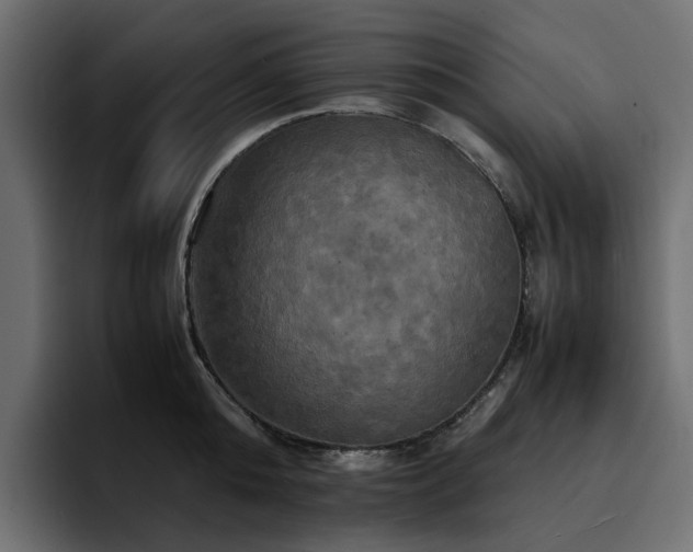 X0000095120808200712141135