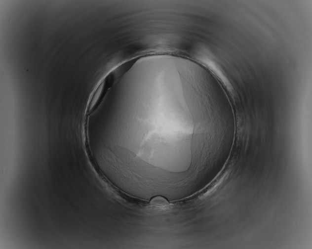 X0000095120810200712141135