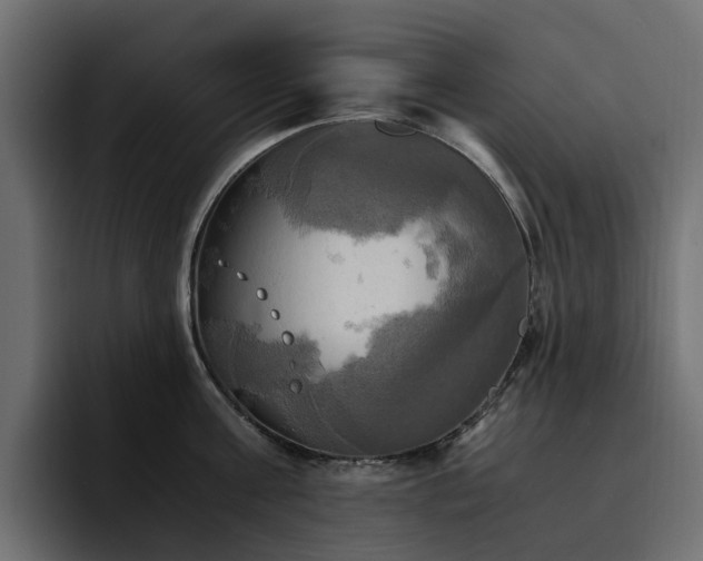 X0000095120811200712141135