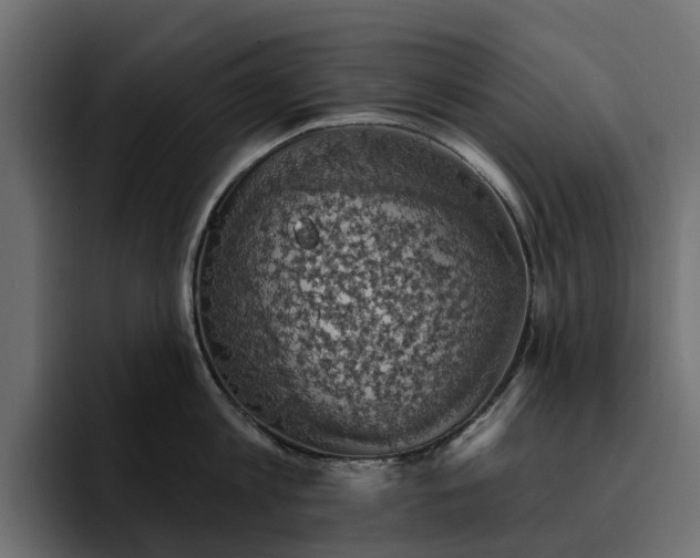 X0000095120813200712141135