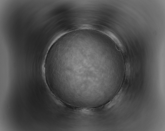 X0000095120814200712141135