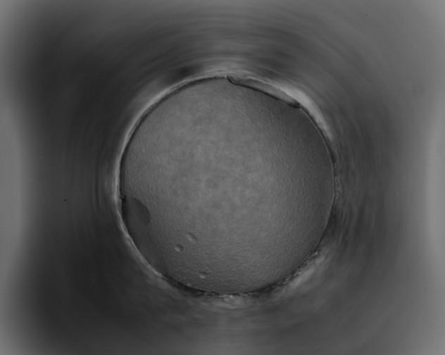 X0000095120815200712141135