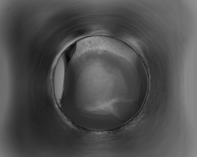 X0000095120816200712141135