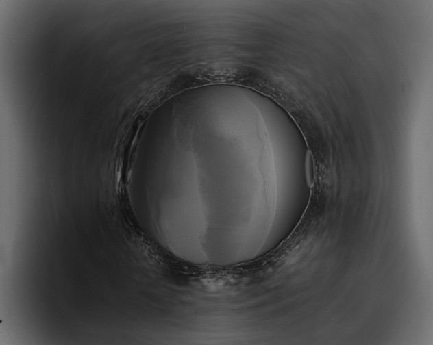 X0000095120818200712141134