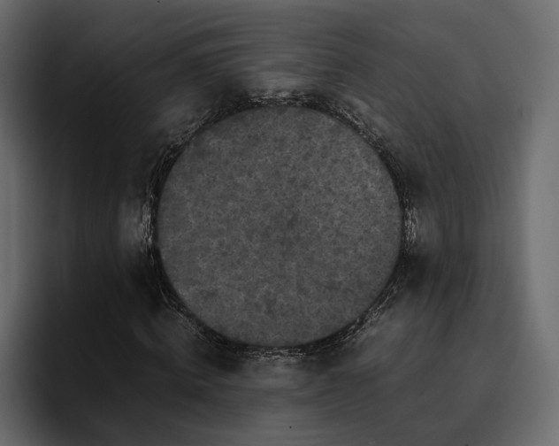 X0000095120820200712141134