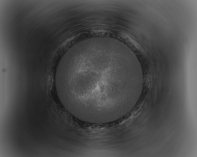 X0000095120821200712141134