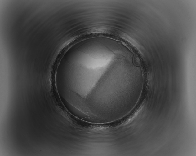 X0000095120826200712141134