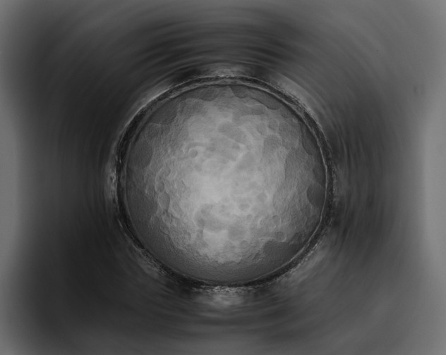 X0000095120827200712141134