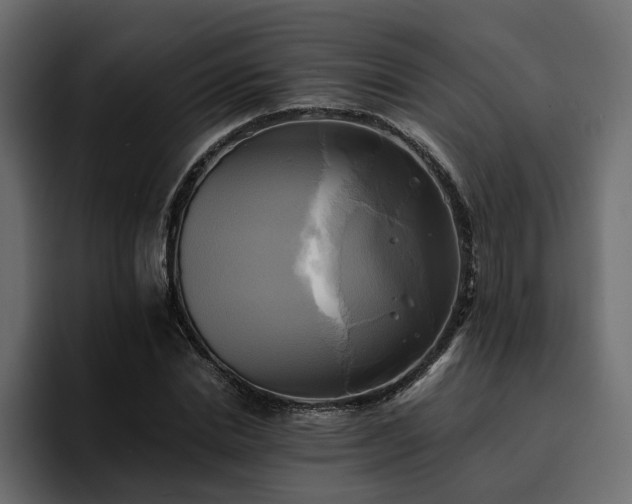 X0000095120830200712141134