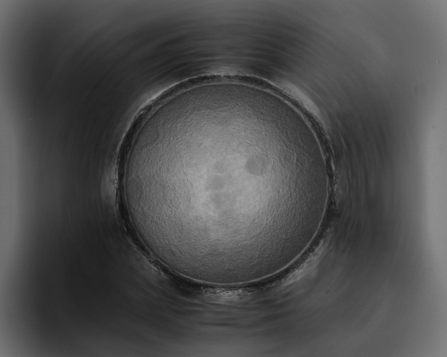 X0000095120831200712141134