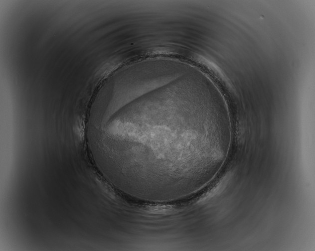 X0000095120833200712141134