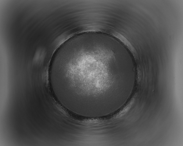 X0000095120834200712141134